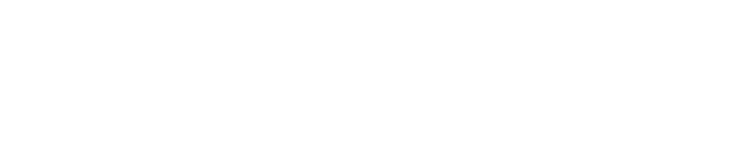 Search Consultants Inc